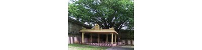 இரத்தின சபை - திருவாலங்காடு